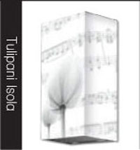 Tulipani